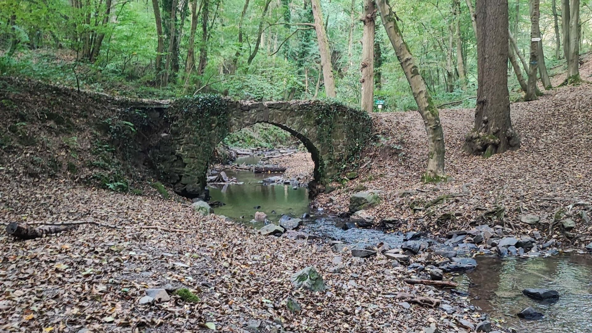 Trail de la Cochonne 2024 · Résultats · Betrail